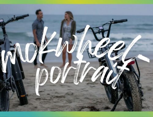 Mokwheel: Wie der E-Bike-Newcomer mit Solar-Idee punktet